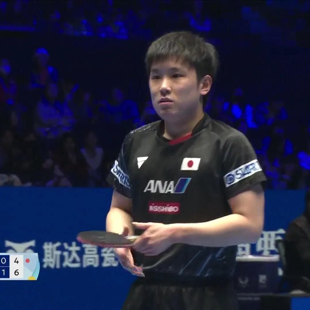 中国乒乓球队完胜波兰乒乓球队,张本智和送出助攻的简单介绍 中国乒乓球队完胜波兰乒乓球队,张本智和送出助攻的简单介绍
