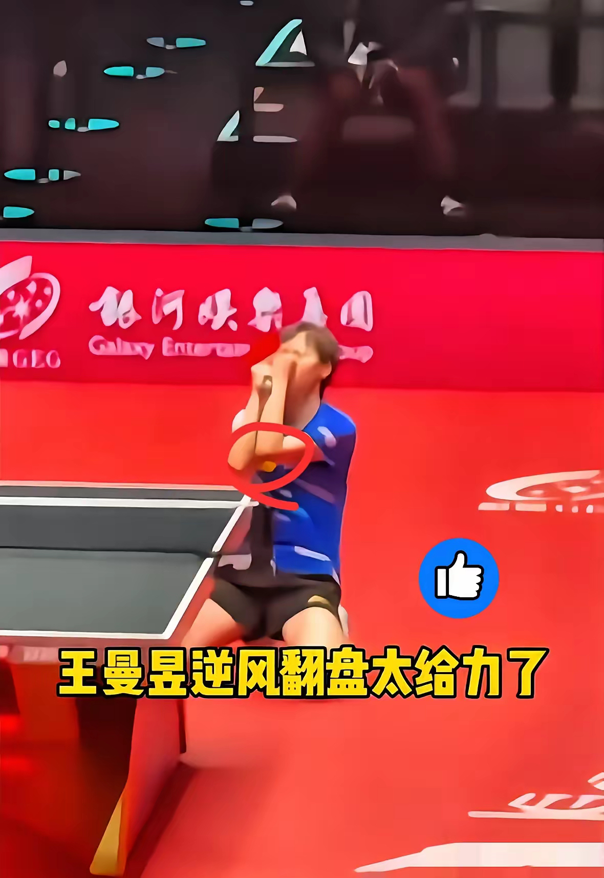 比利时乒乓球队翻盘瑞典乒乓球队，张本智和统治全场的简单介绍