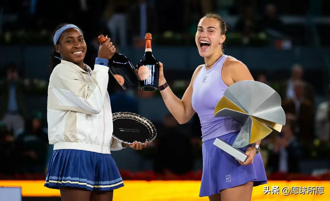 开云sport-戴维斯杯碾压美网，辛纳惊艳四座