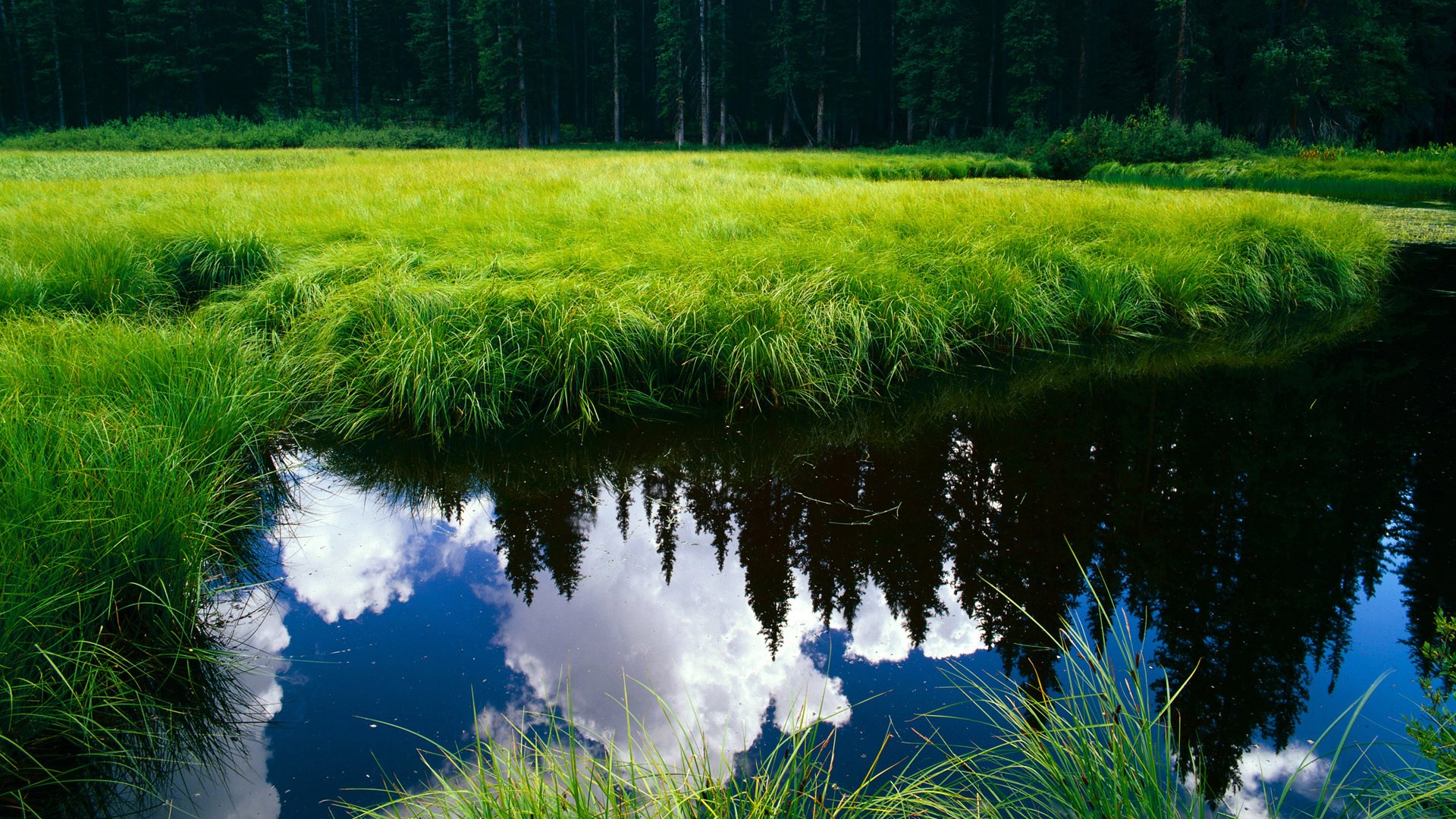 开云sport-孙兴慜满分评分诠释个人英雄主义，阿森纳战术压制尤文揭示英超进化，现代足球的双重奏