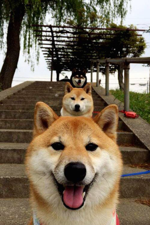 平行时空的足球密码，当苏格兰击败切尔西，巴雷拉在2026接管比赛