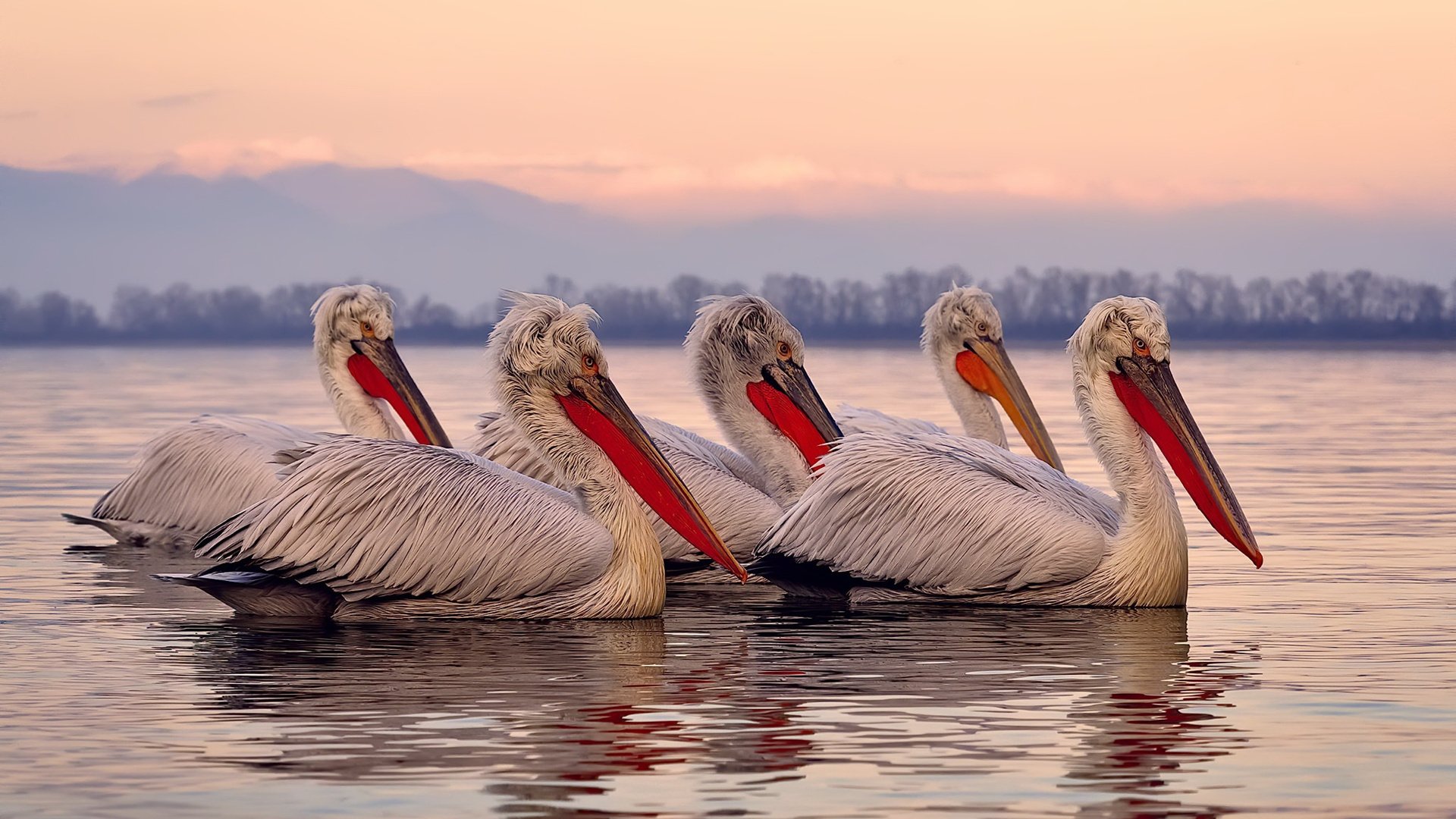 跨界巅峰战,新疆队逆转热火创奇迹,莫兰特50分刷新纪录闪耀全场