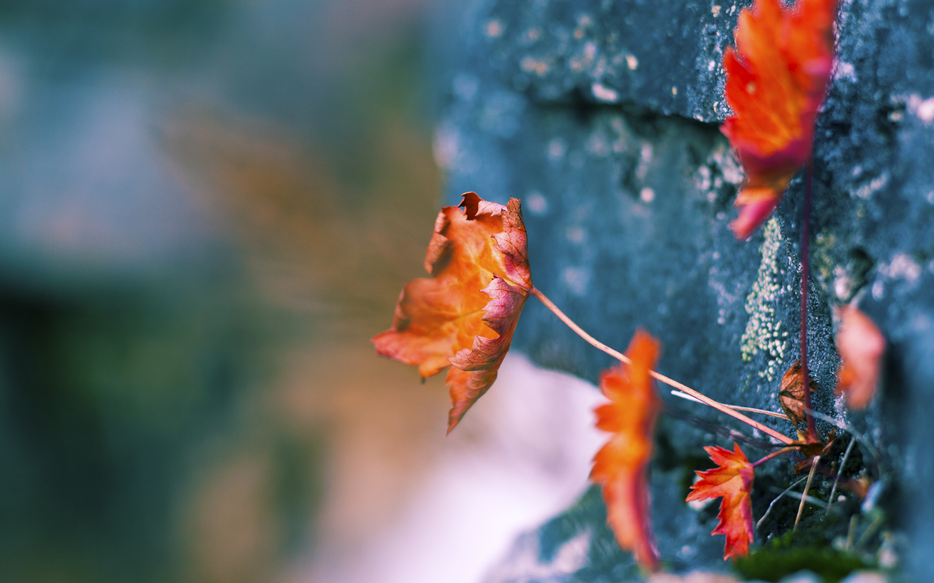 尼克斯加时取胜火箭，预示乔治2026世界杯的接管时刻？