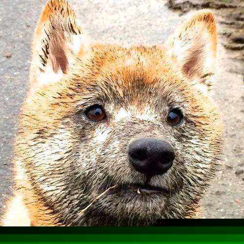 开云体育app-当末节带走遇见接管比赛，体育世界里，掌控力是唯一的通用语言