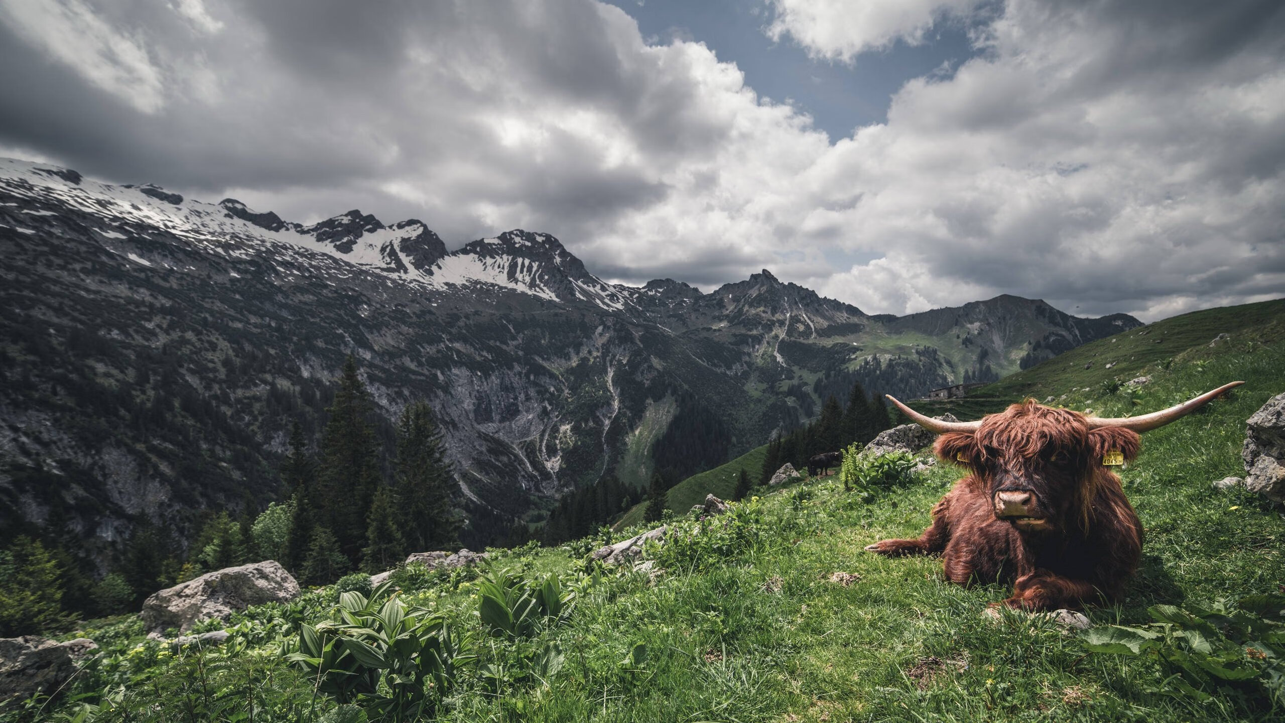 巅峰对决,世界排名争夺战之夜,阿尔瓦雷斯用拳头写就王者传奇