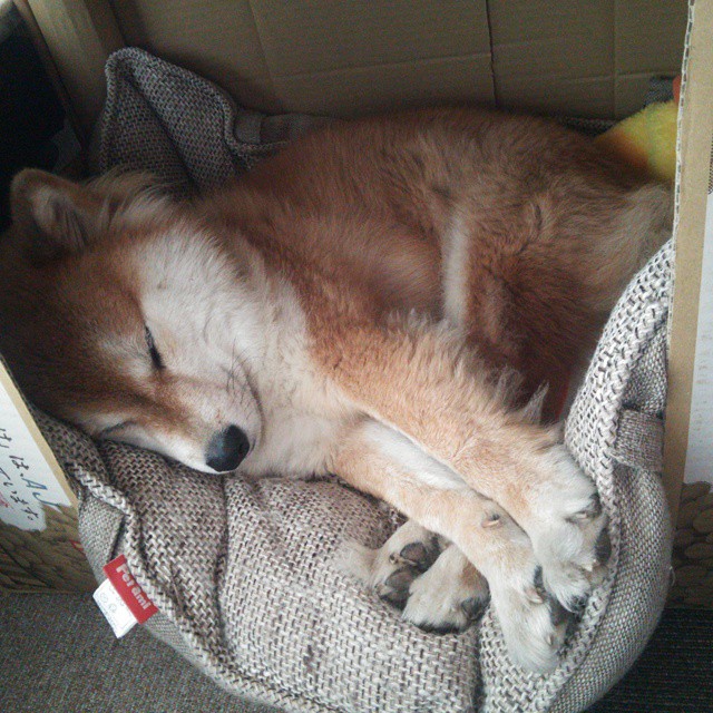 开云体育app-暗黑时间，F1年度争冠中那个只在凌晨四点上演的绝杀