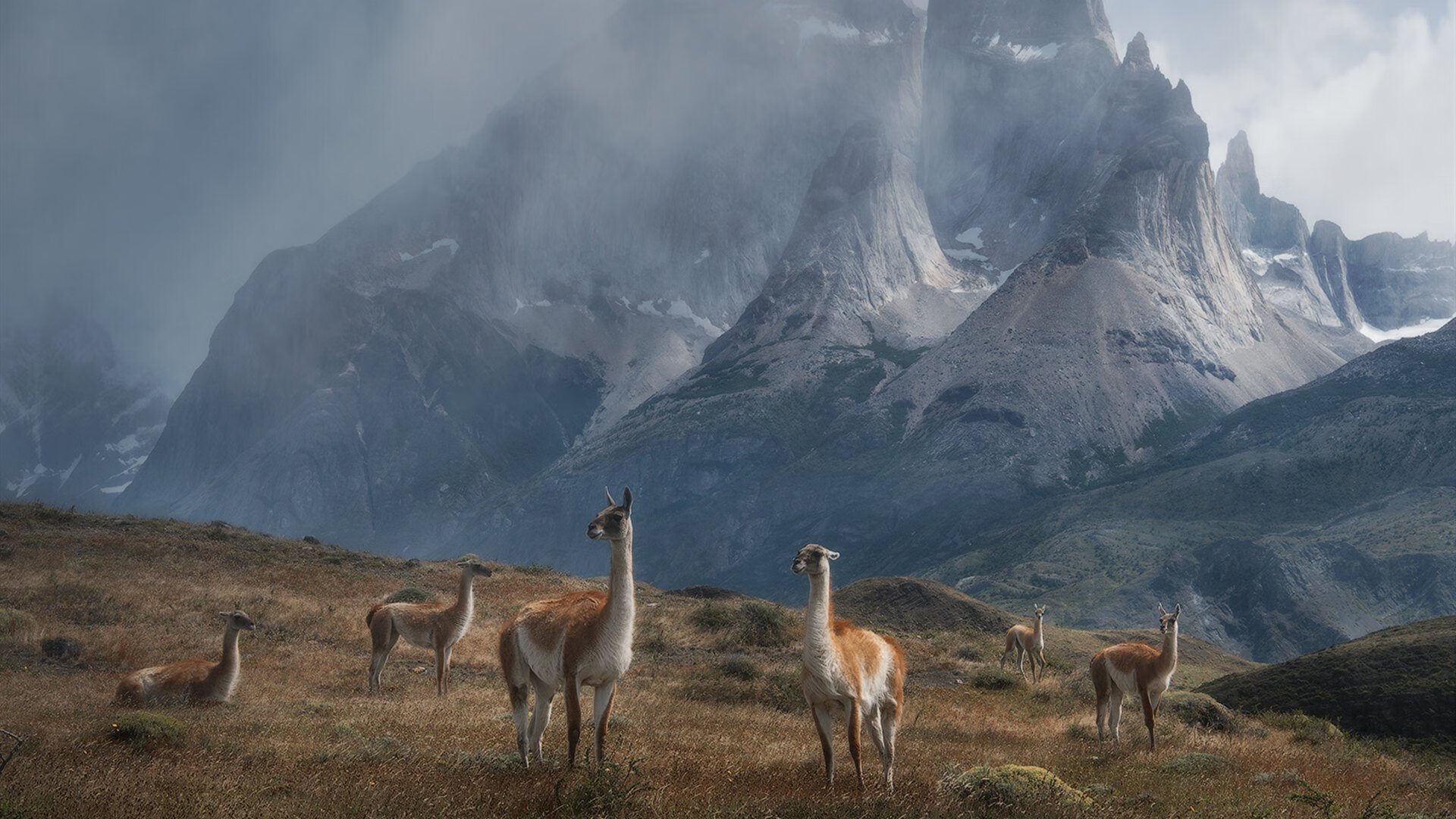 开云体育中国-唯一的时区，当森林狼的嚎叫遇见辽宁的飞豹，哈利伯顿按下时空暂停键