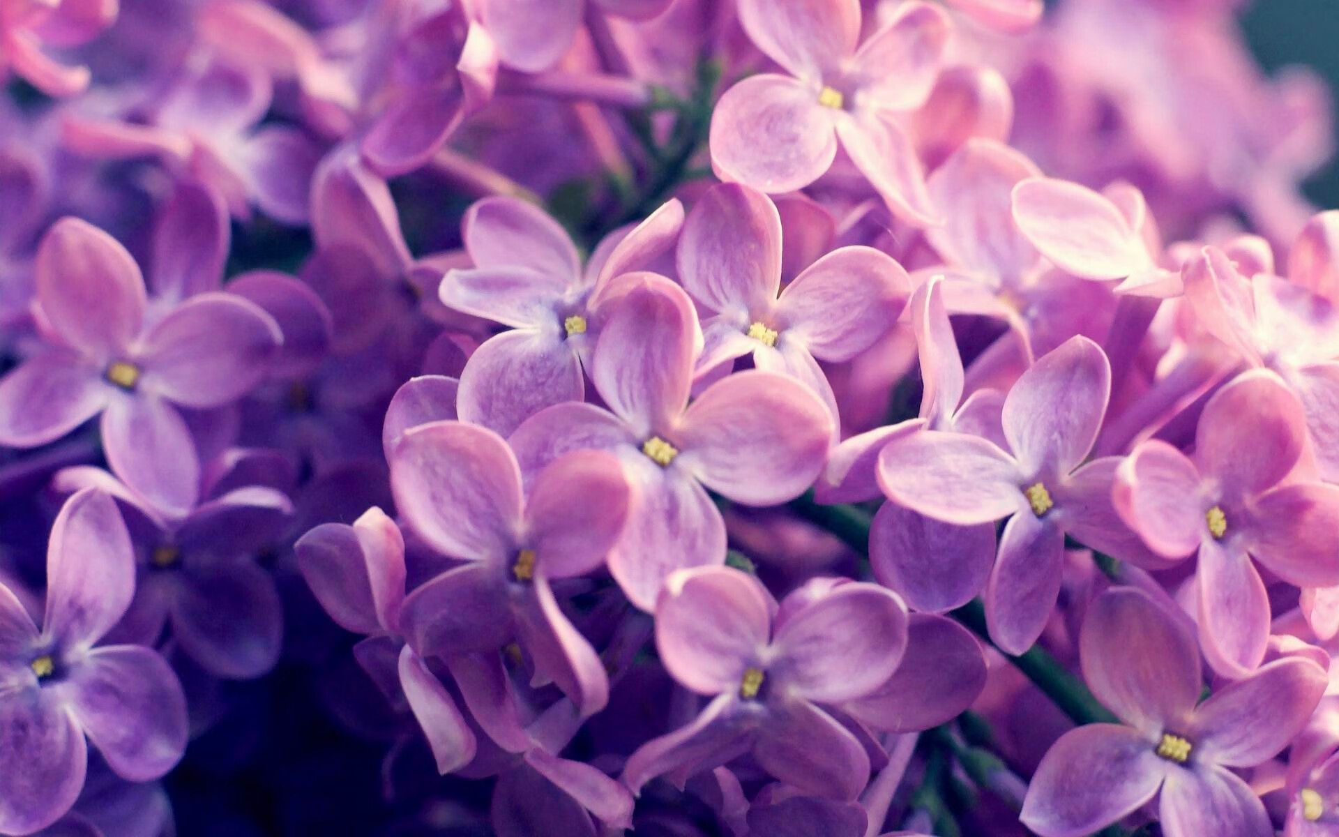 三分钟闪电战！奥地利导演欧洲杯奇迹，蒂亚戈成为关键先生