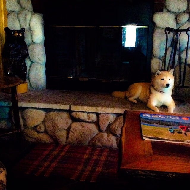 双线战火，格纳布里欧冠闪光，国际米兰战术机器持续碾压乌克兰对手