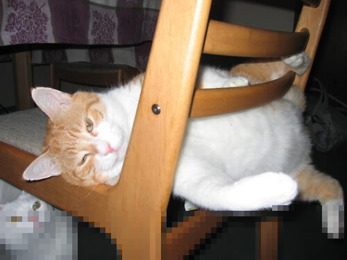 开云体育-世界杯之夜，德布劳内，绿茵场的稳定器与不掉线神话