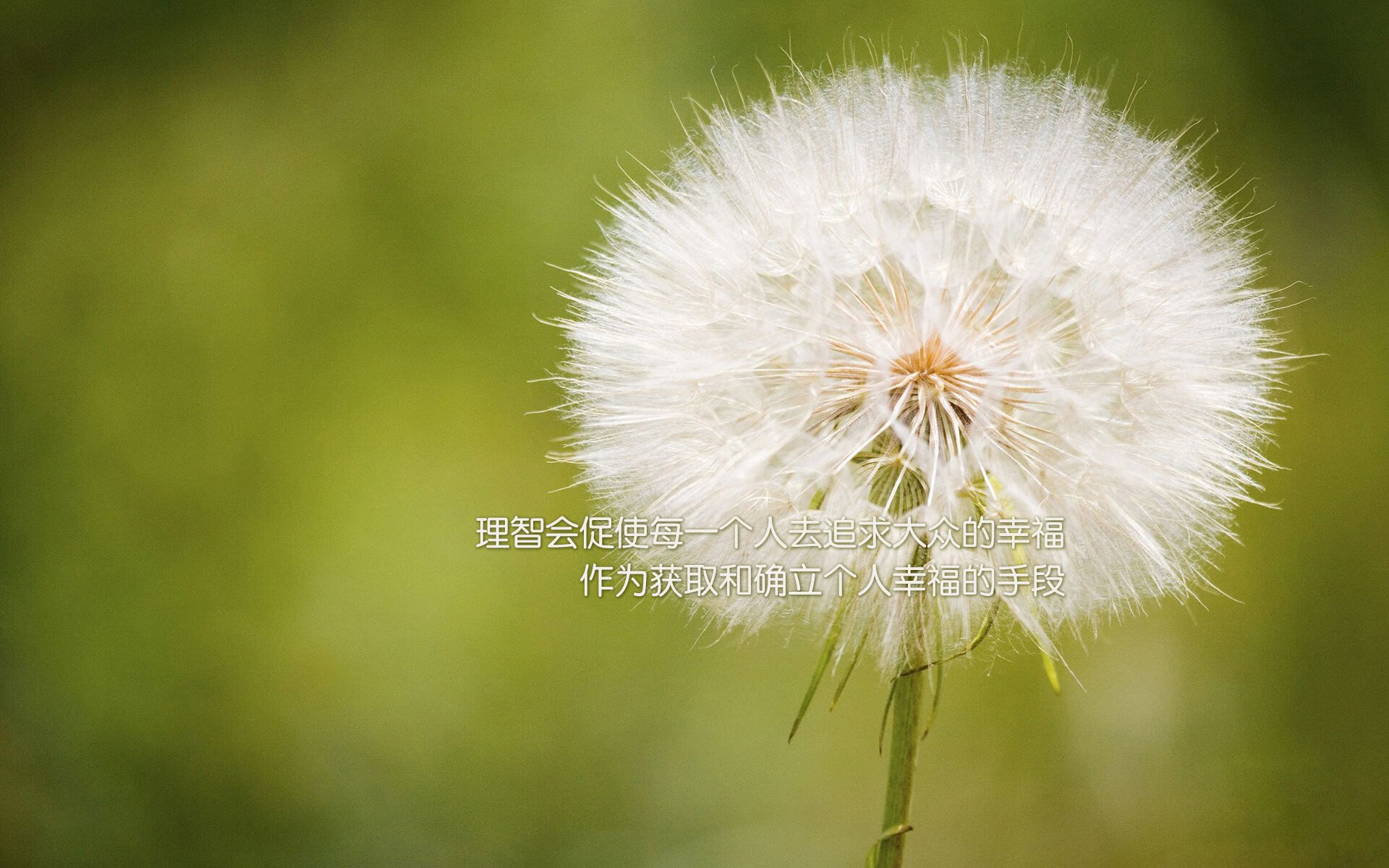 开云体育官网-扩展思维后的标题备选