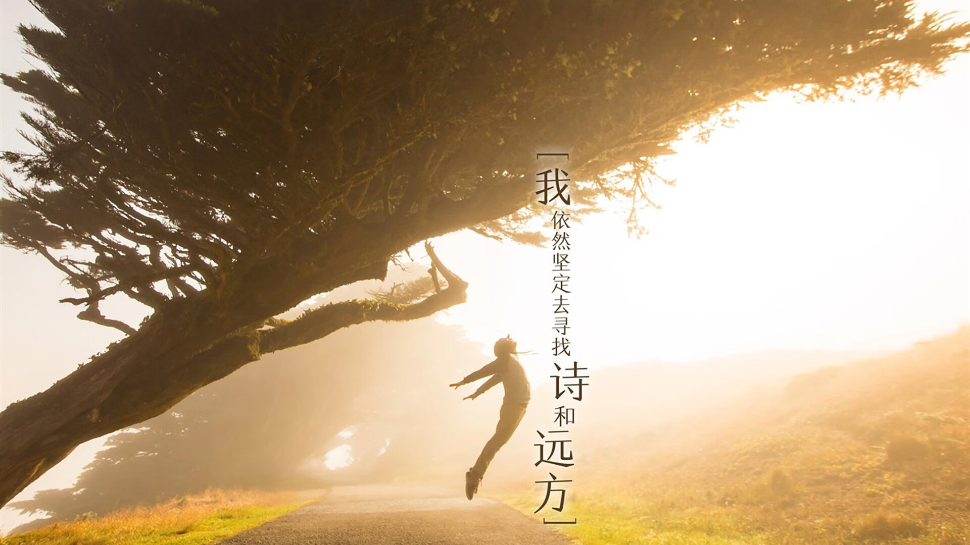 开云体育APP下载-胜负手与凡人英雄，欧冠淘汰赛之夜，罗德里戈落下的那一子