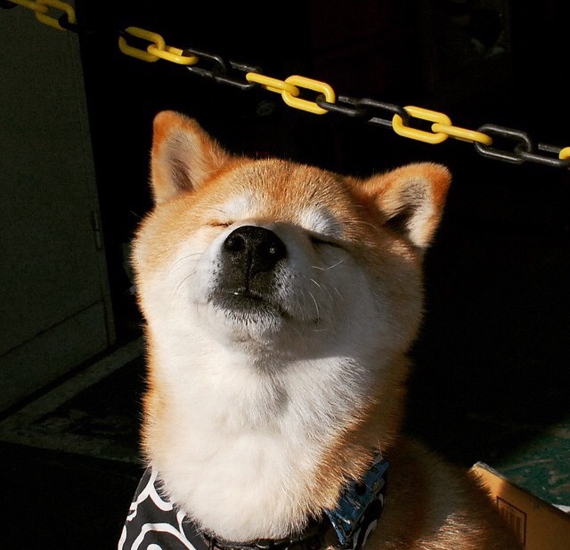 沙漠风暴掀翻蔚蓝海岸，沙特抢七加时鏖战力克摩纳哥