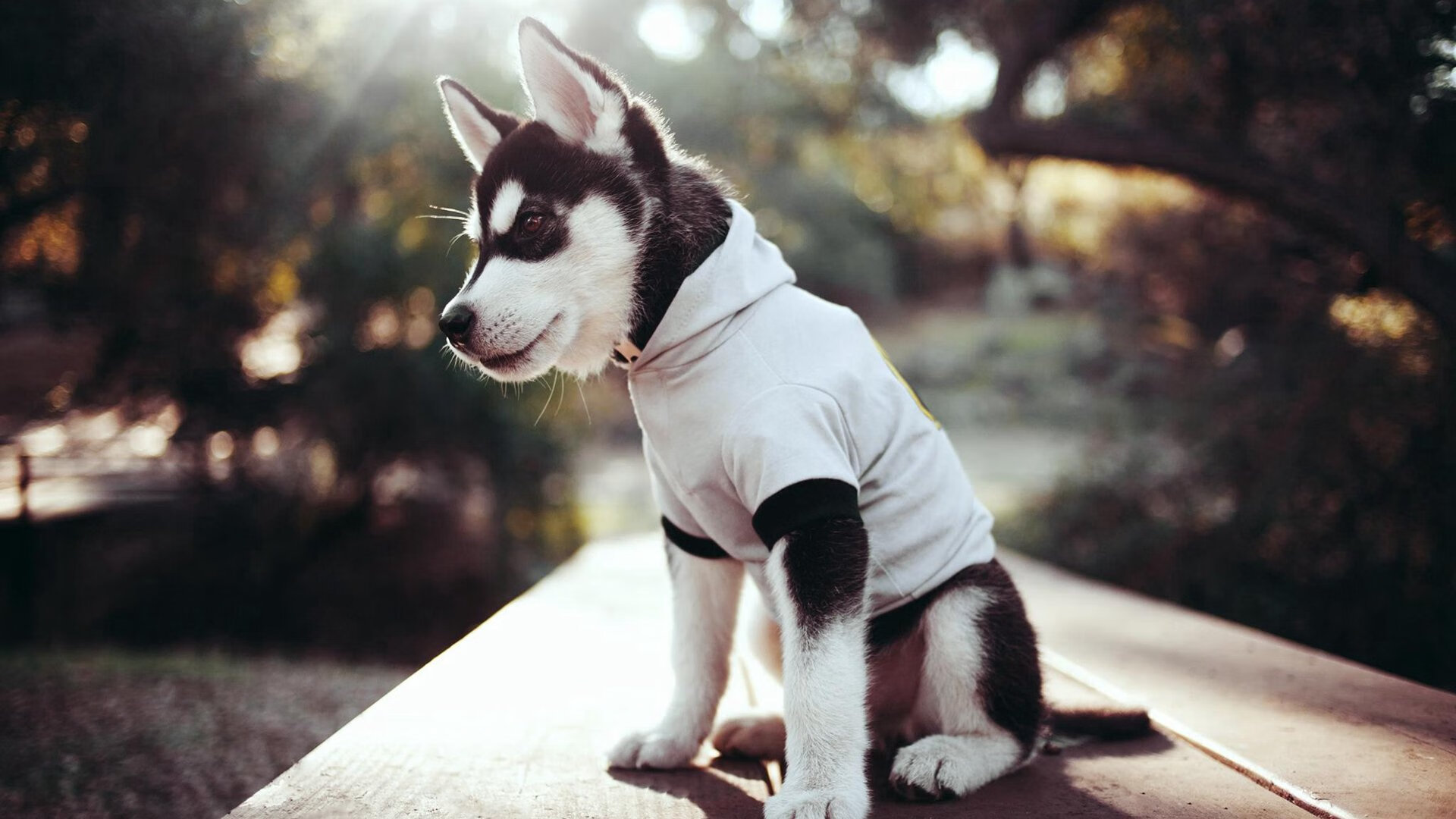 大胜，然后呢？当尼克斯狂胜遇上爱德华兹的硬仗哲学