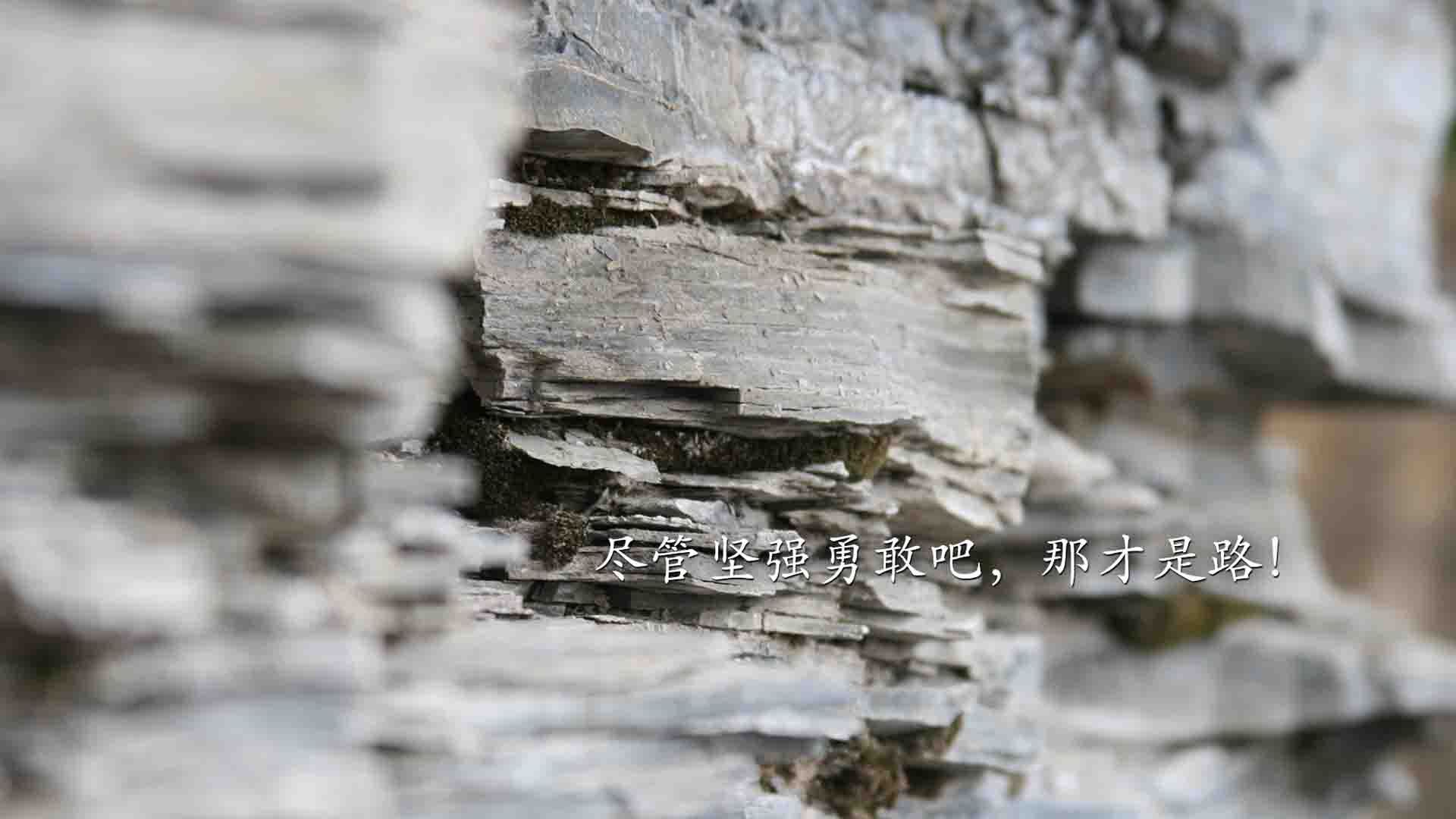 沙漠中的火焰,2026世界杯半决赛,C罗引领印度破茧成蝶