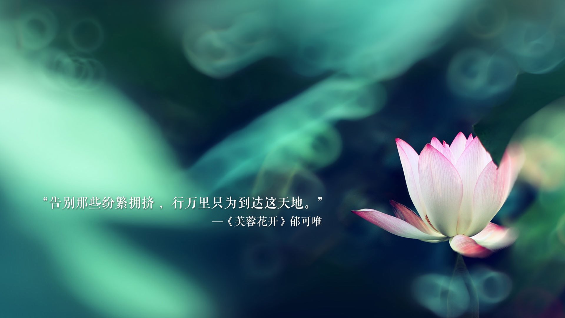 开云体育登录-2026之巅，哈兰德非典型封神，伊朗铁骑在绝境中改写历史