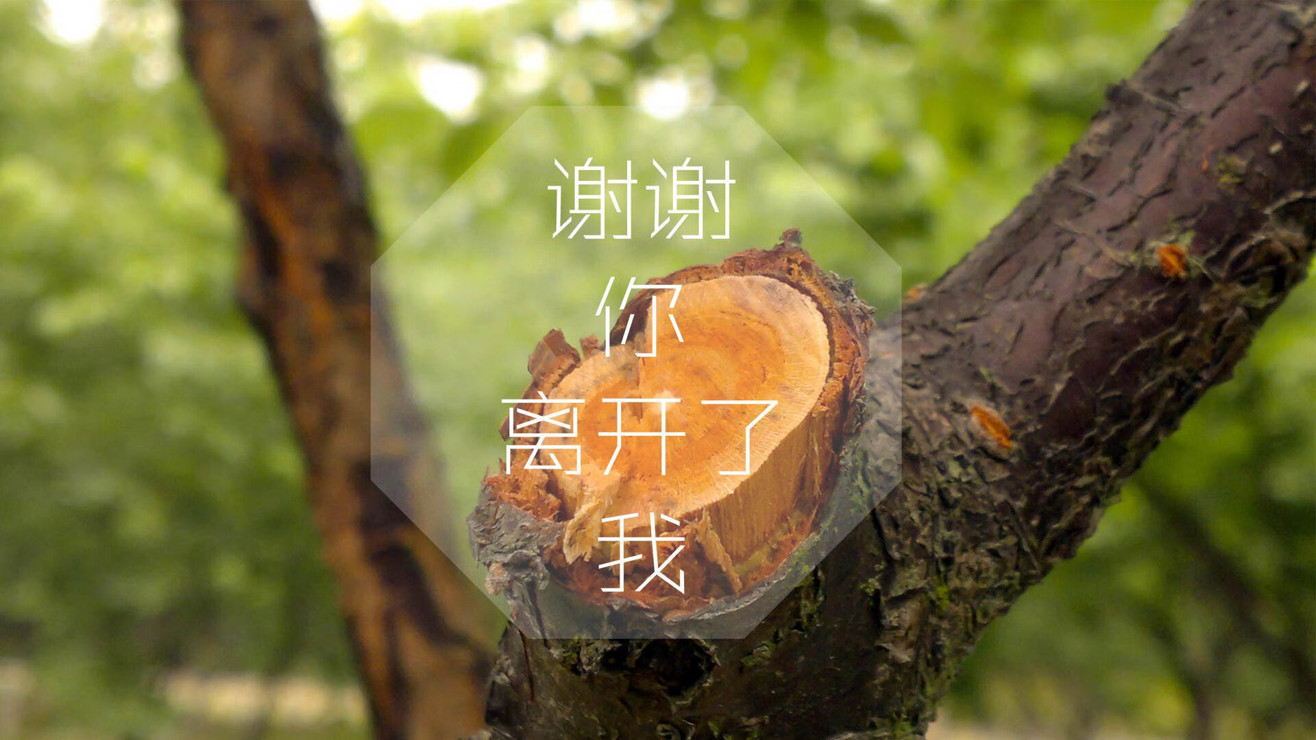 （扩展备选）